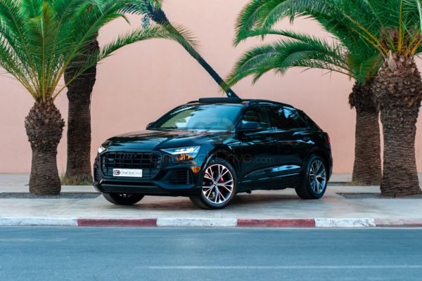 Audi_Q8-S-Line-Kit_2023_19233_19233_16115769684-1_small